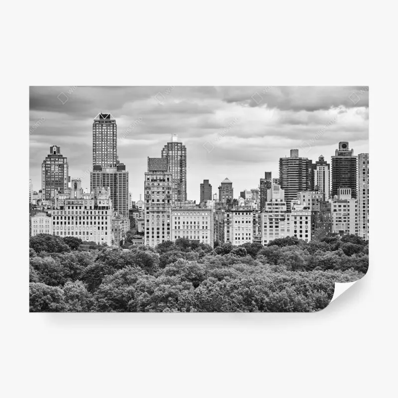 Fototapeta – Wallissimo®