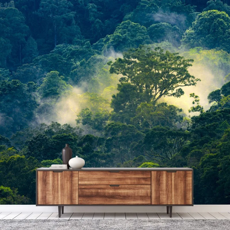 Fototapeta mglisty las deszczowy z koronami drzew