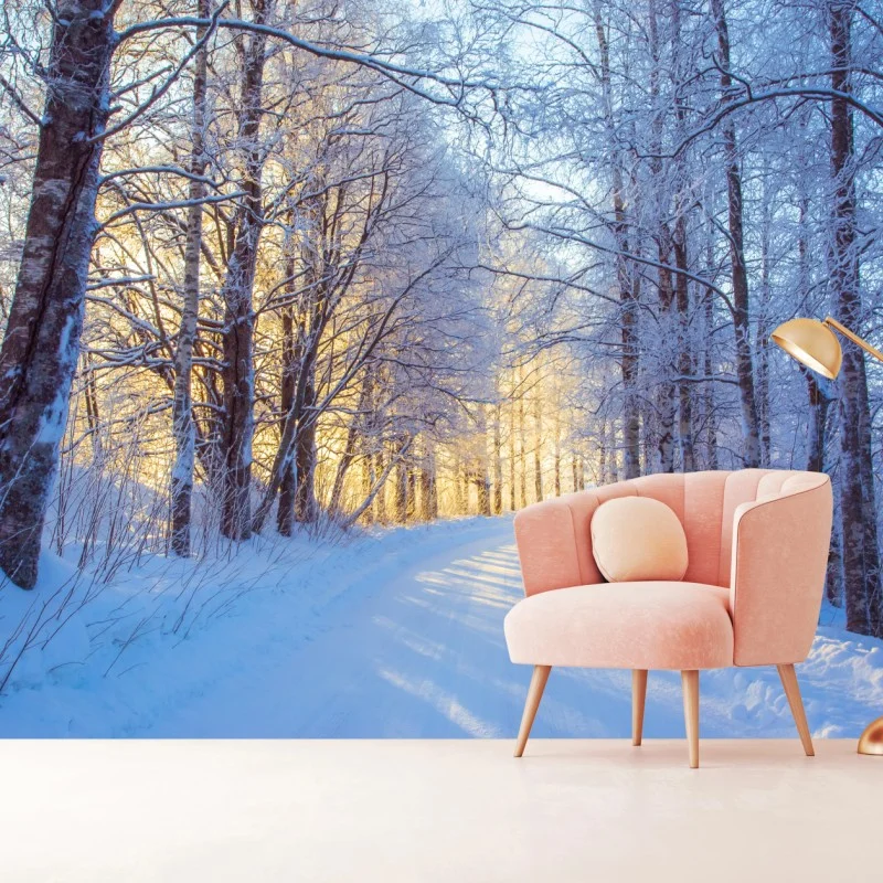 Fototapeta zimowy las brzozowy ze złotym świtem