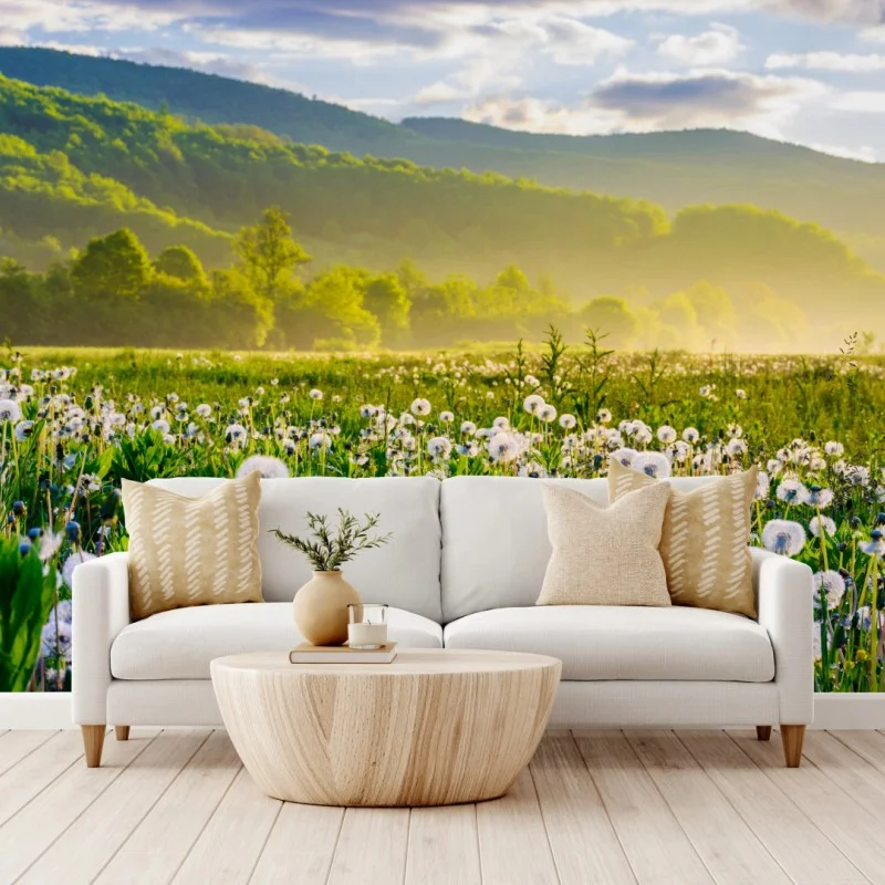 Fototapeta mglista łąka mleczy o wschodzie słońca – Wallissimo® Fototapeta mglista łąka mleczy o wschodzie słońca – Wallissimo®