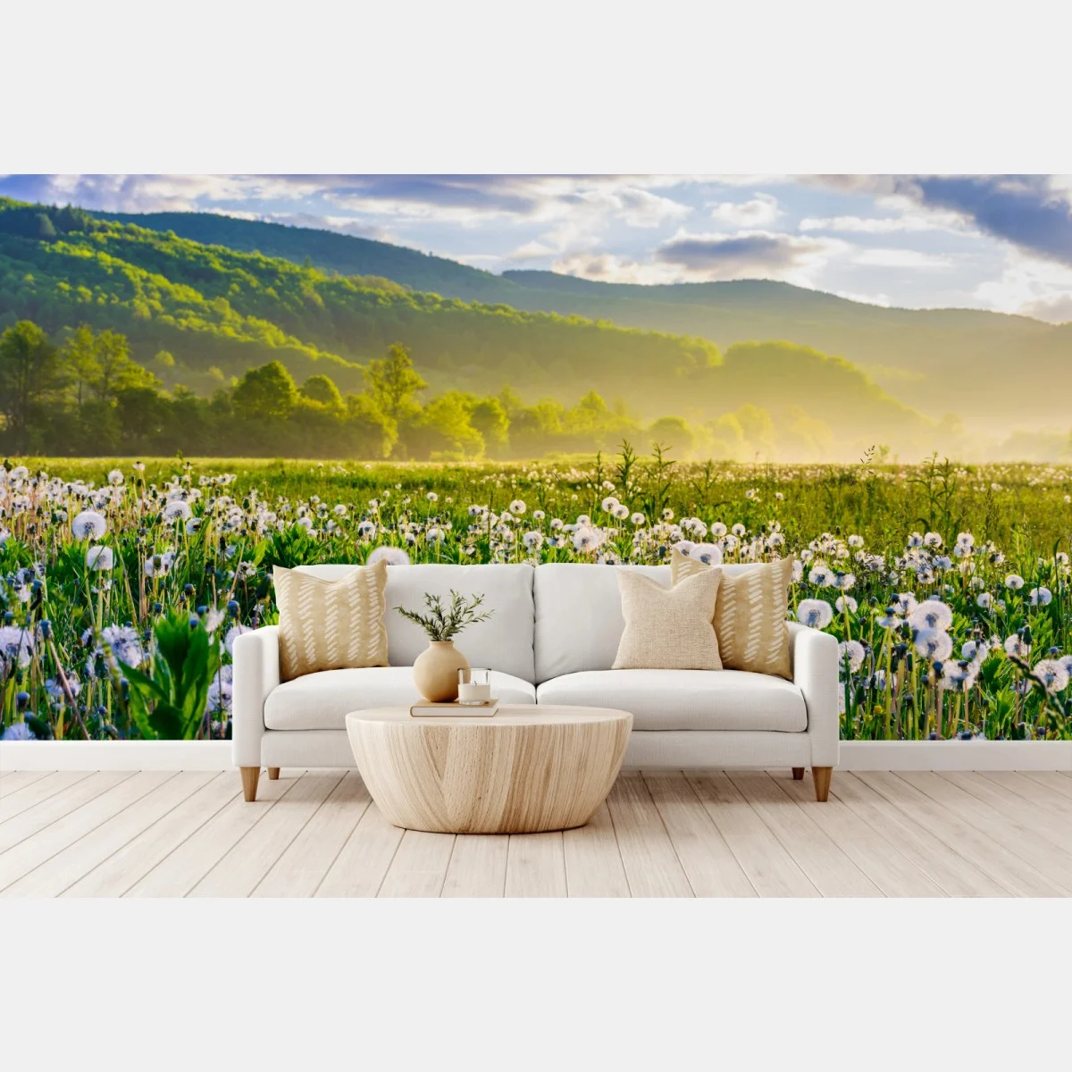 Fototapeta mglista łąka mleczy o wschodzie słońca – Wallissimo® Fototapeta mglista łąka mleczy o wschodzie słońca – Wallissimo®