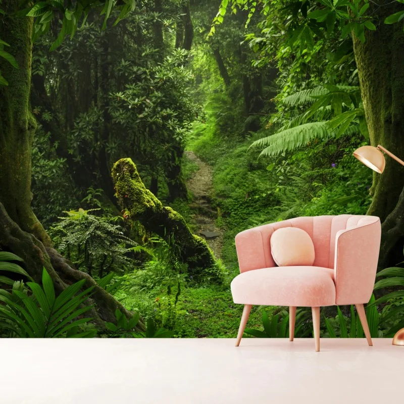 Fototapeta zaczarowana mszysta leśna ścieżka