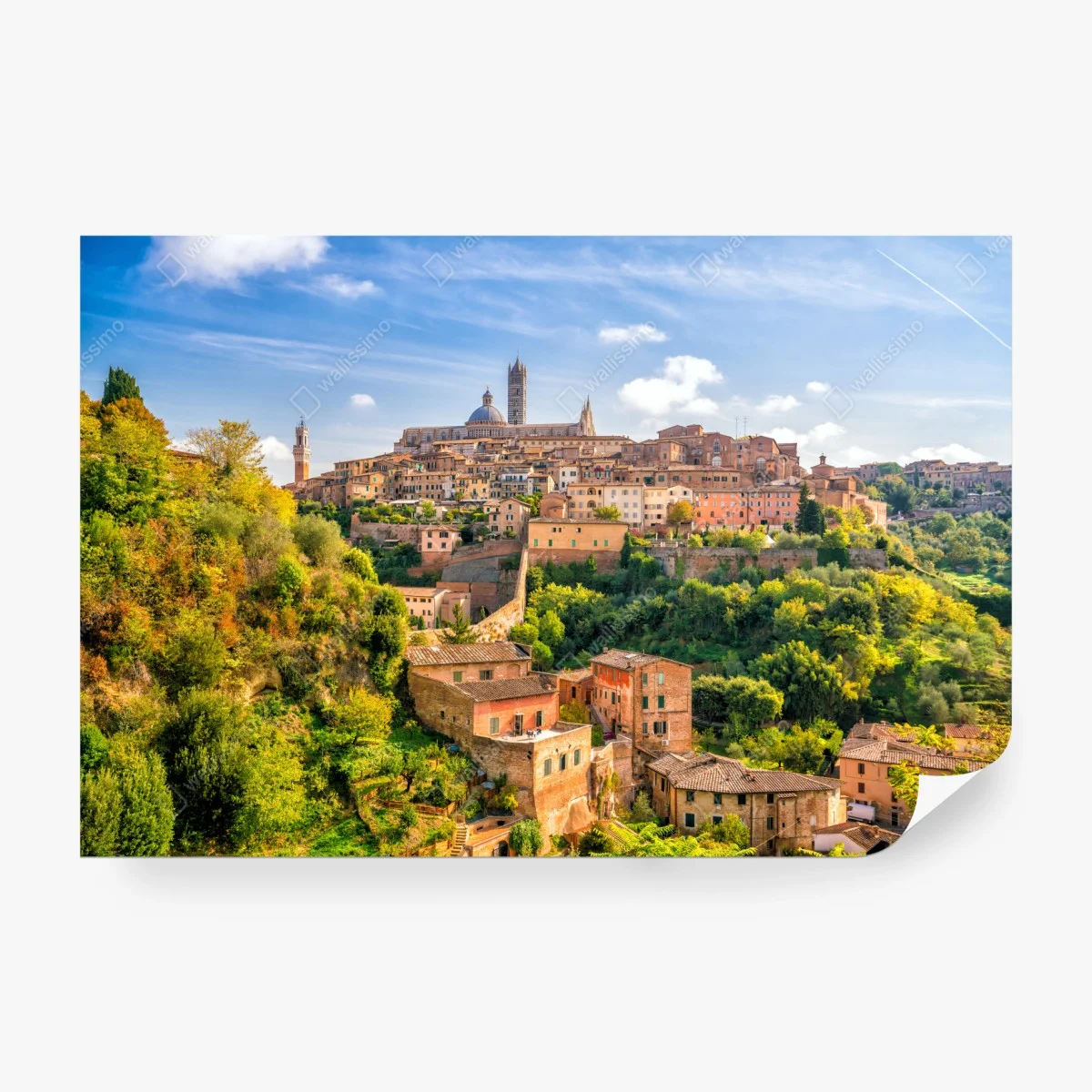 Fototapeta Siena panorama miasta, Włochy – Wallissimo® Fototapeta Siena panorama miasta, Włochy – Wallissimo®