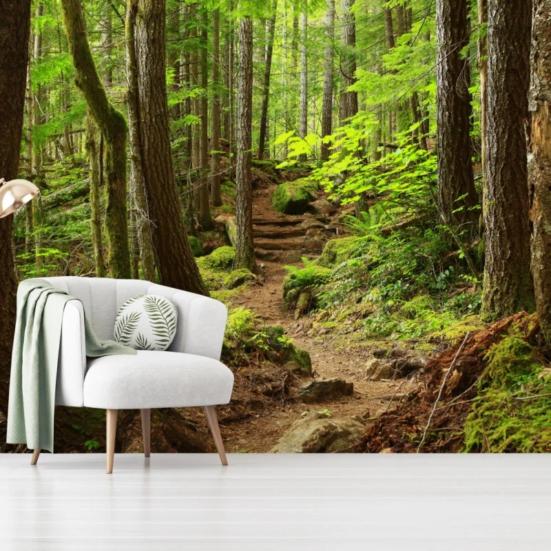 Fototapeta mchowa leśna ścieżka