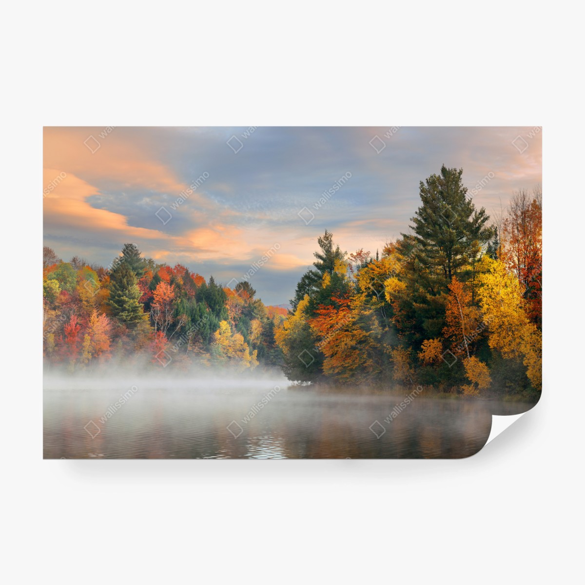 Fototapeta mglisty jesienny poranek w Stowe – Wallissimo®