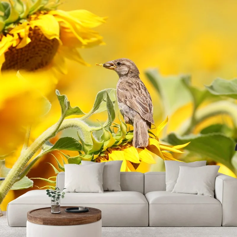 Fototapeta wróbel na słoneczniku