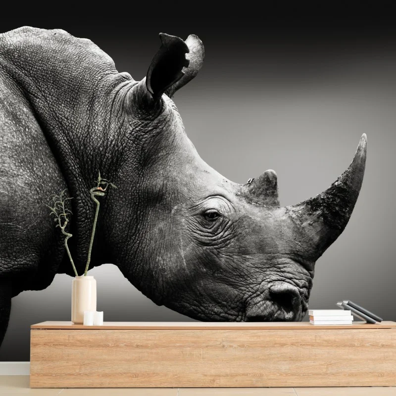 Fototapeta majestatyczny portret nosorożca