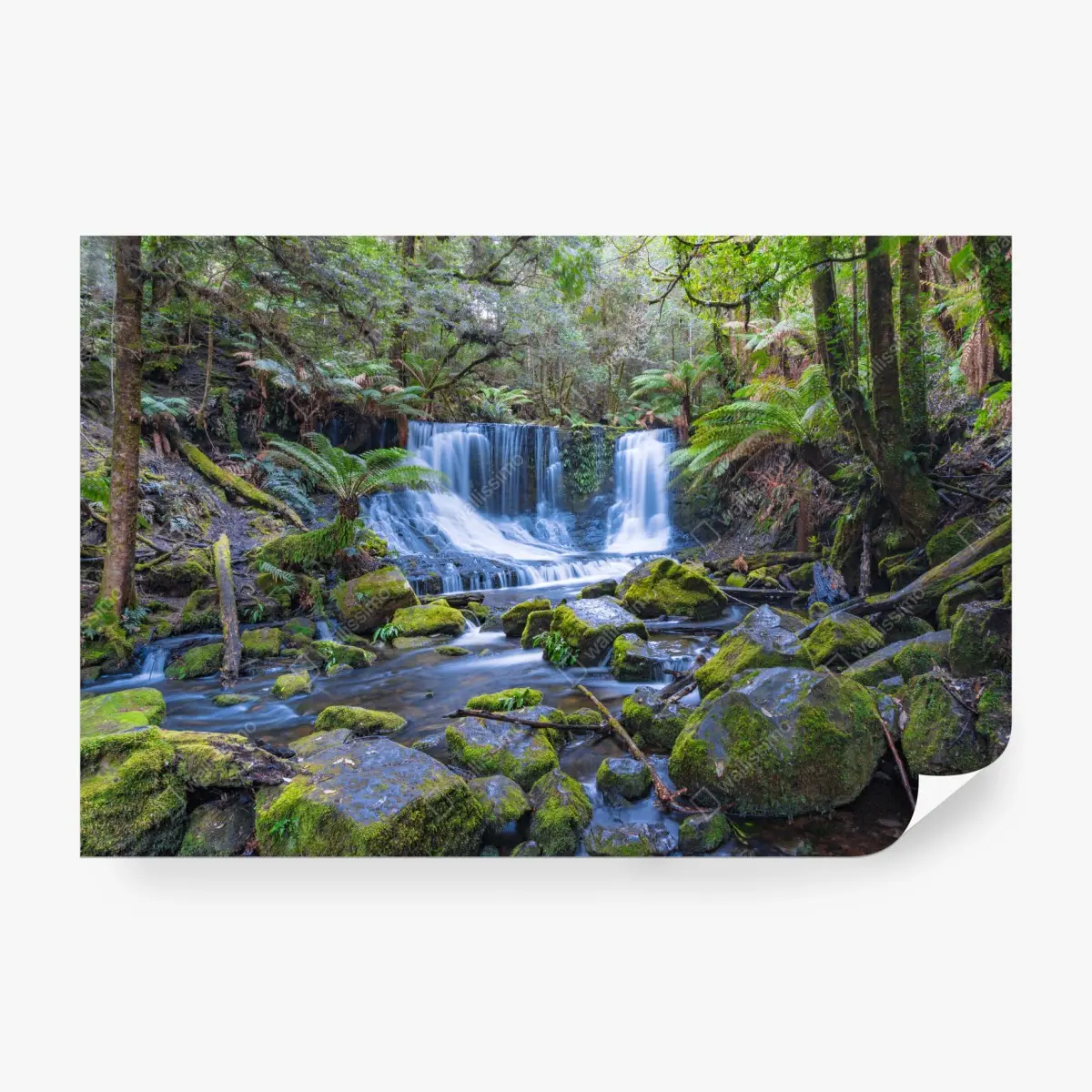 Fototapeta spokojny leśny wodospad – Wallissimo®