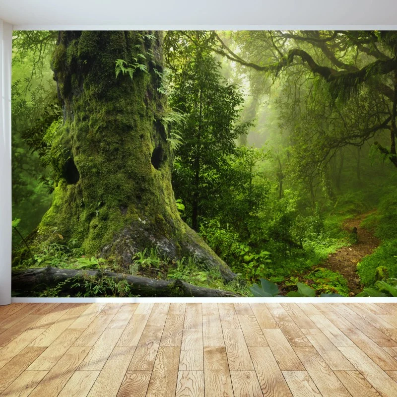 Fototapeta stara leśna ścieżka