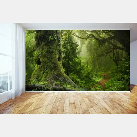 Fototapeta stara leśna ścieżka – Wallissimo®