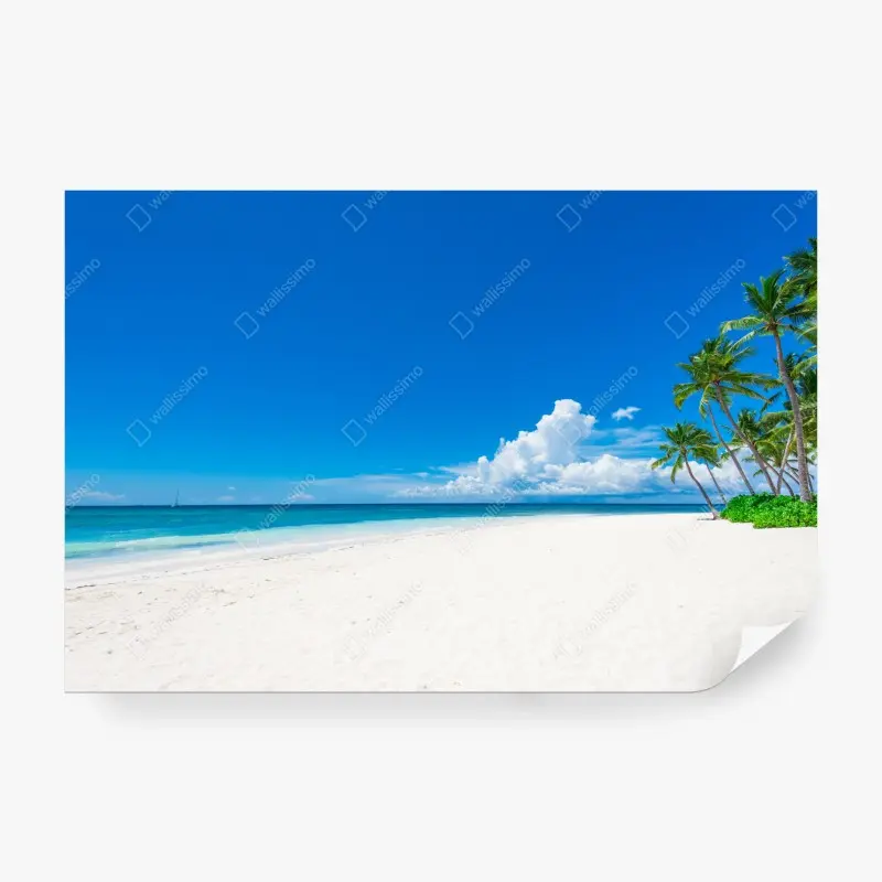 Fototapeta tropikalna plaża z palmami