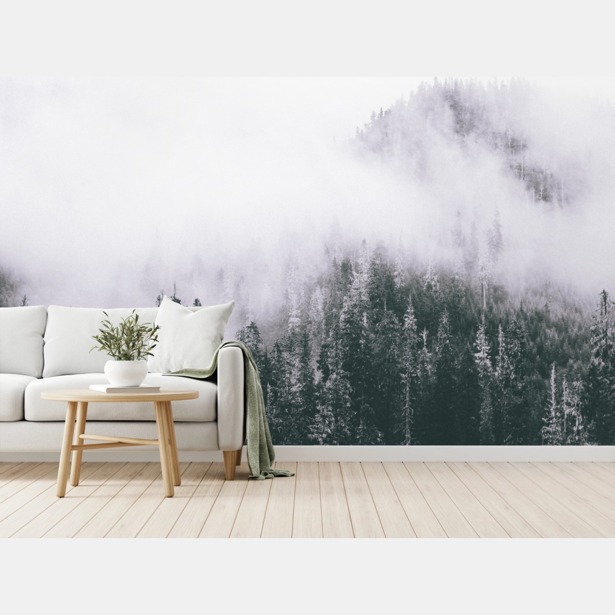 Fototapeta mglisty las iglasty – Wallissimo®