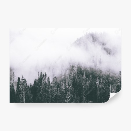 Fototapeta mglisty las iglasty – Wallissimo®