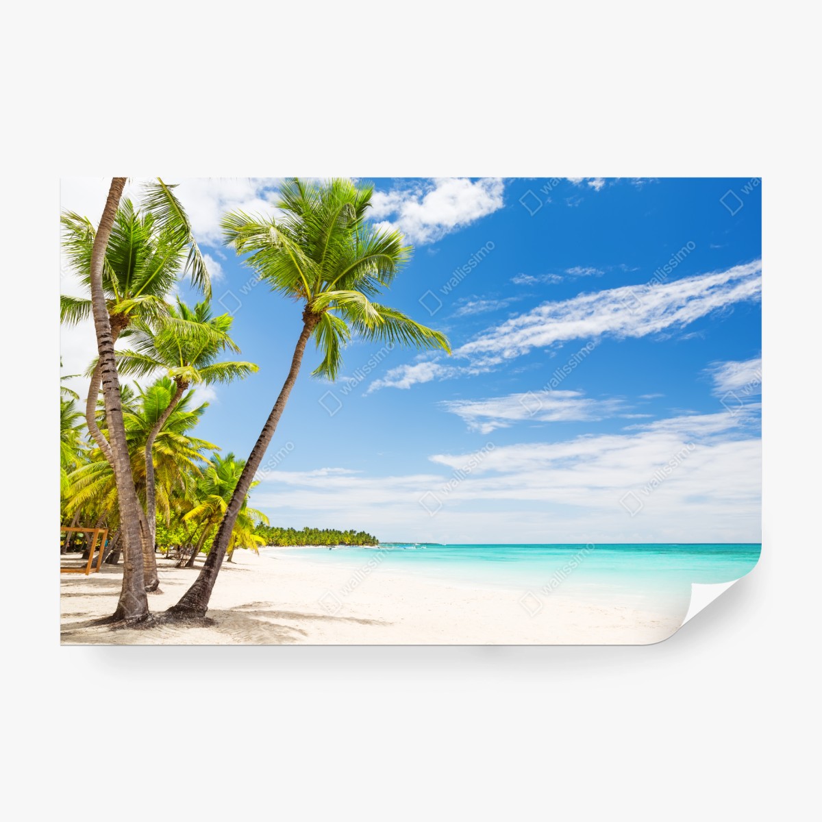 Fototapeta plaża z palmami w Punta Cana – Wallissimo®