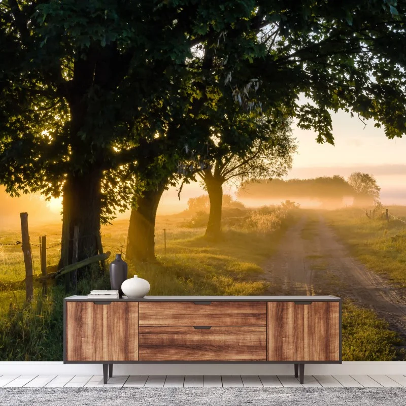 Fototapeta słoneczna wiejska droga o świcie