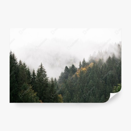 Fototapeta mglisty górski las – Wallissimo®