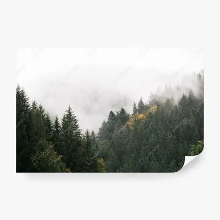 Fototapeta mglisty górski las – Wallissimo®