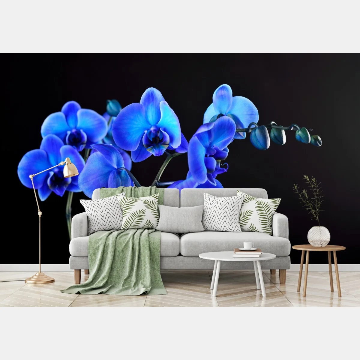 Fototapeta intensywna niebieska orchidea na czarnym tle – Wallissimo® Fototapeta intensywna niebieska orchidea na czarnym tle – Wallissimo®