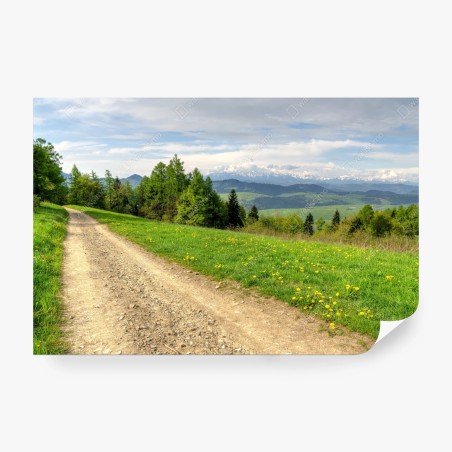 Fototapeta Gorce wiosenny szlak – Wallissimo®