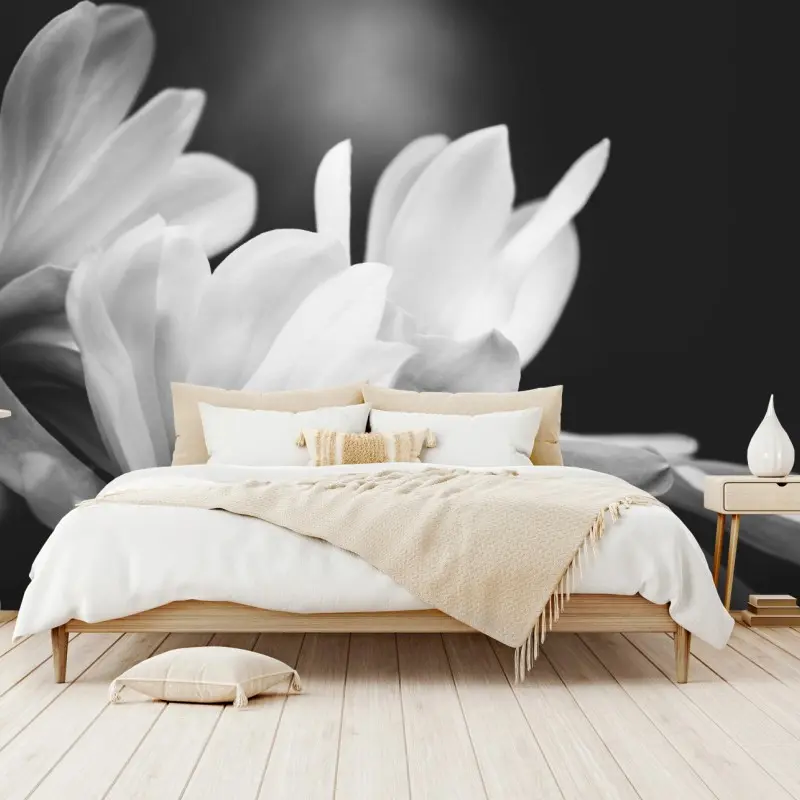 Fototapeta czarno-biała magnolia w zbliżeniu