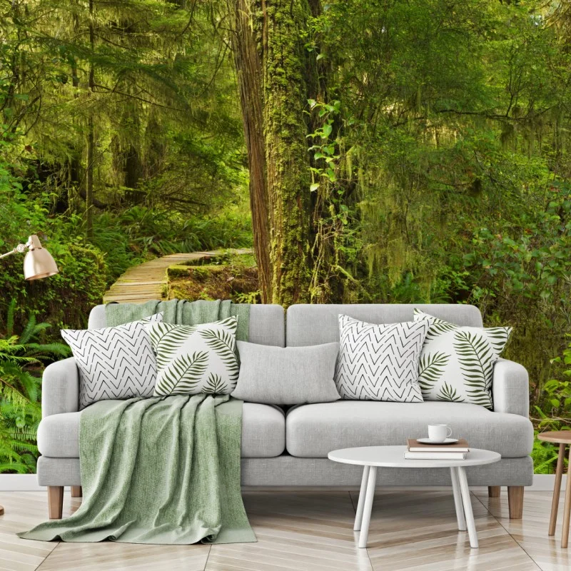 Fototapeta pomost w lesie deszczowym Pacific Rim