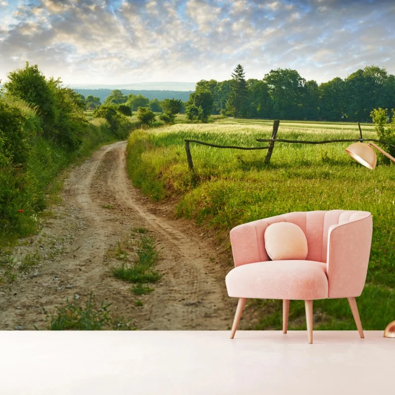 Fototapeta słoneczna wiejska ścieżka przez zielone łąki – Wallissimo®