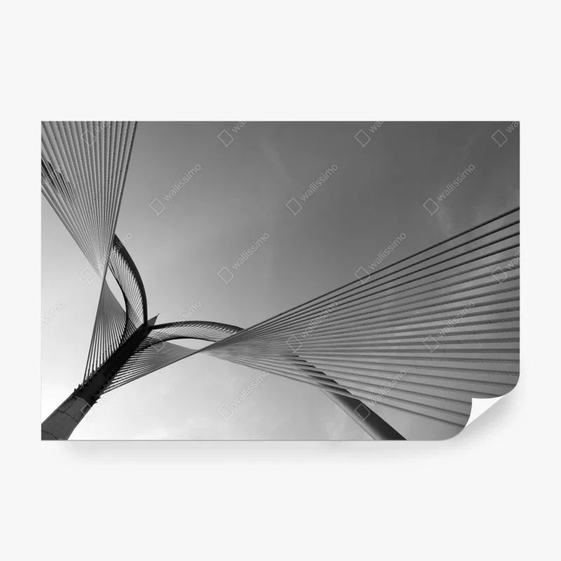 Fototapeta monochromatyczny most i geometryczne linie