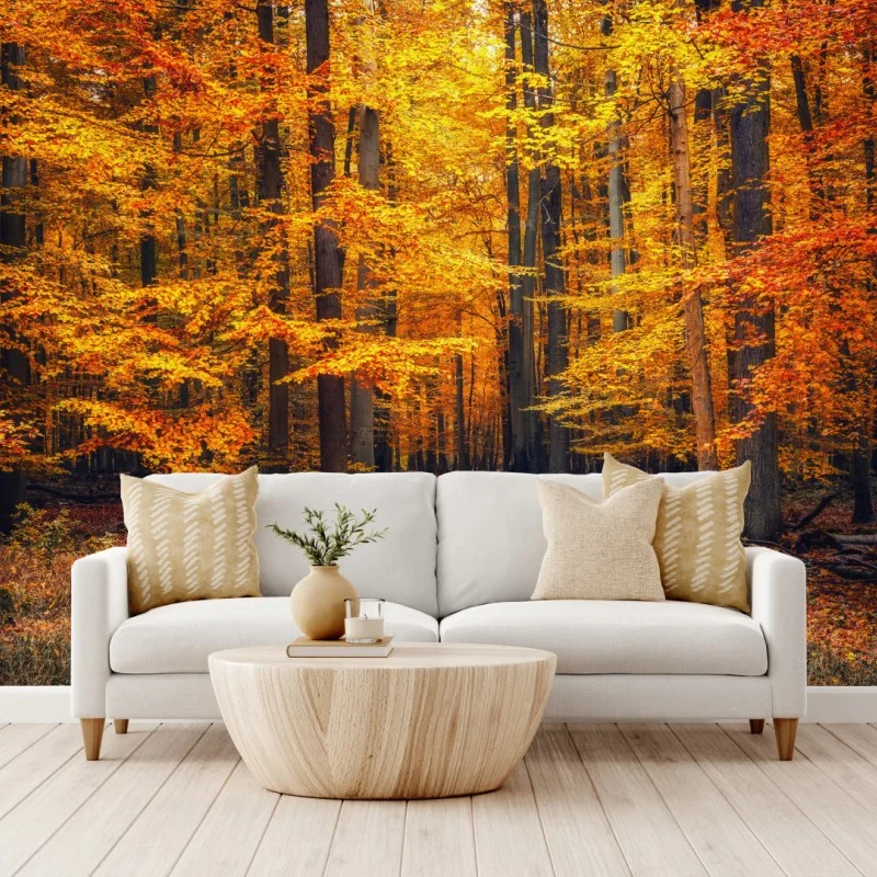 Fototapeta jesienny las ze złotą ścieżką