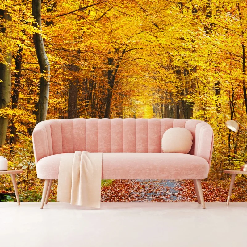 Fototapeta złota ścieżka w jesiennym lesie