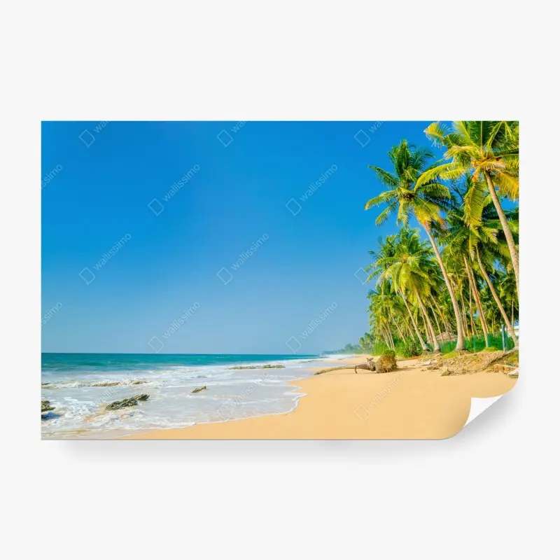 Fototapeta tropikalna plaża z palmami