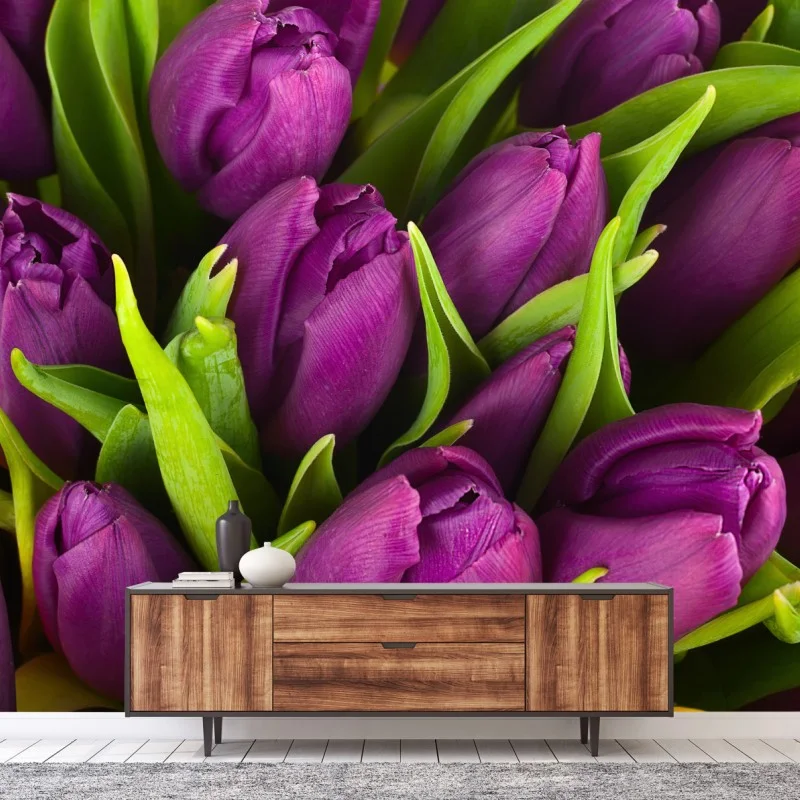 Fototapeta fioletowy bukiet tulipanów – Wallissimo® Fototapeta fioletowy bukiet tulipanów – Wallissimo®