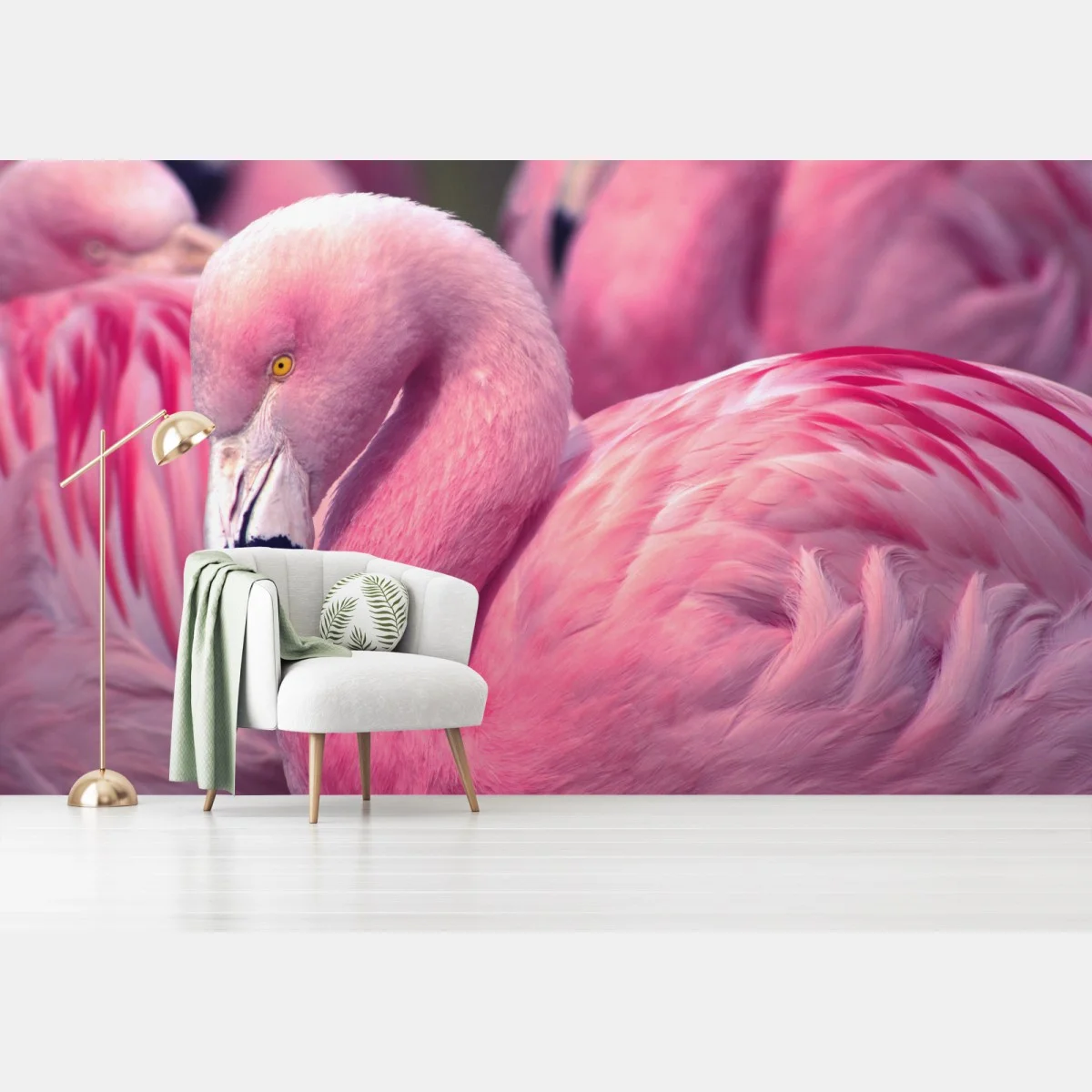 Fototapeta różowy flaming z bliska – Wallissimo® Fototapeta różowy flaming z bliska – Wallissimo®
