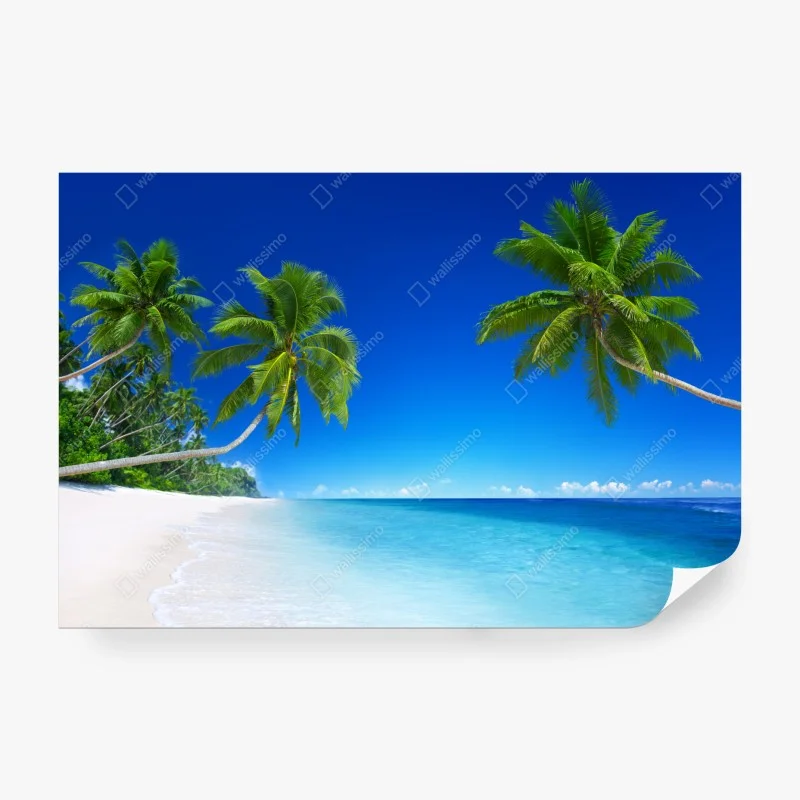 Fototapeta tropikalna plaża z palmami