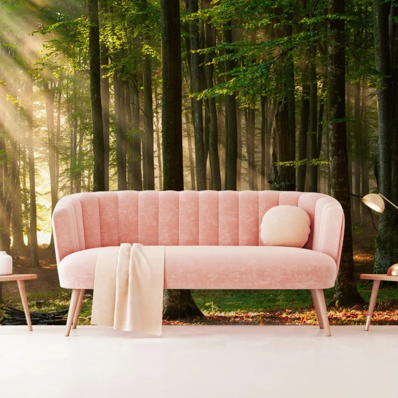 Fototapeta poranne światło w lesie bukowym