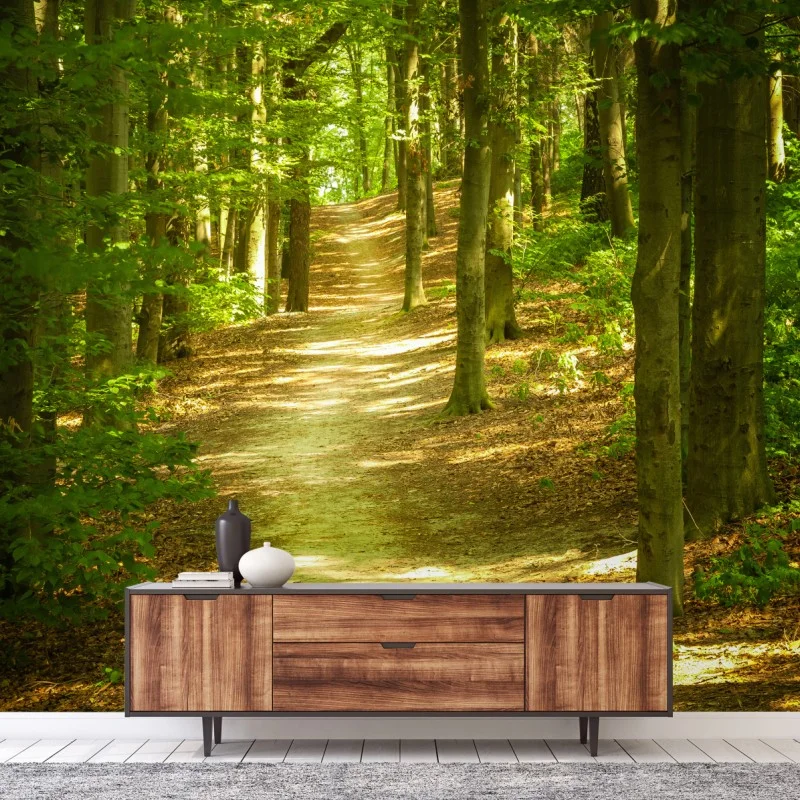 Fototapeta słoneczna leśna ścieżka