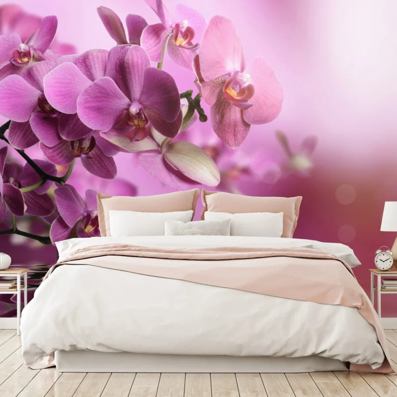 Fototapeta różowe orchidee z odbiciem