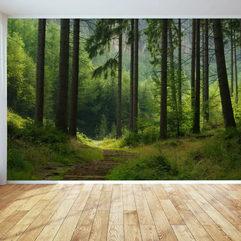 Fototapeta spokojna leśna ścieżka – Wallissimo® Fototapeta spokojna leśna ścieżka – Wallissimo®