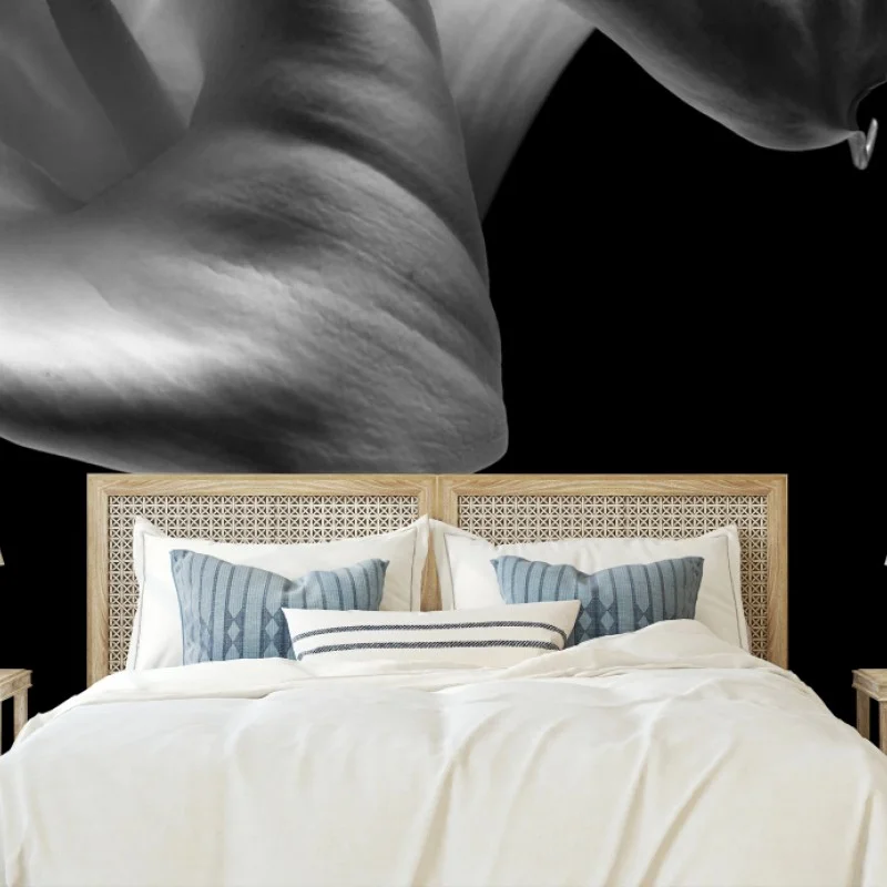 Fototapeta eleganckie kielichy kalii w monochromie