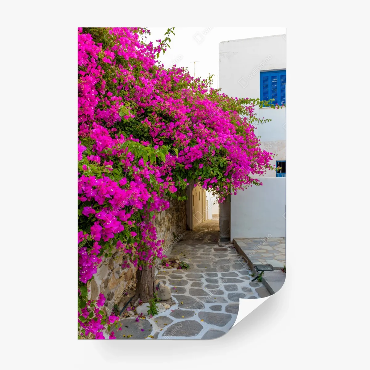 Fototapeta kwitnąca bugenwilla w uliczce Naousa – Wallissimo® Fototapeta kwitnąca bugenwilla w uliczce Naousa – Wallissimo®