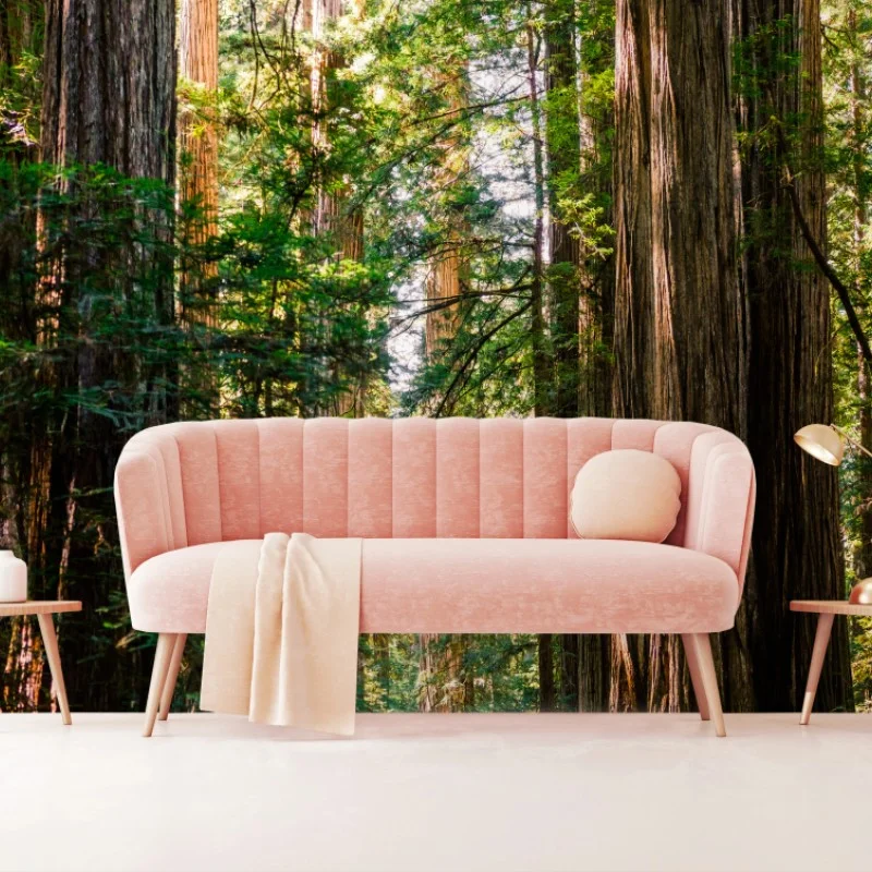 Fototapeta majestatyczna ścieżka w lesie sekwoi