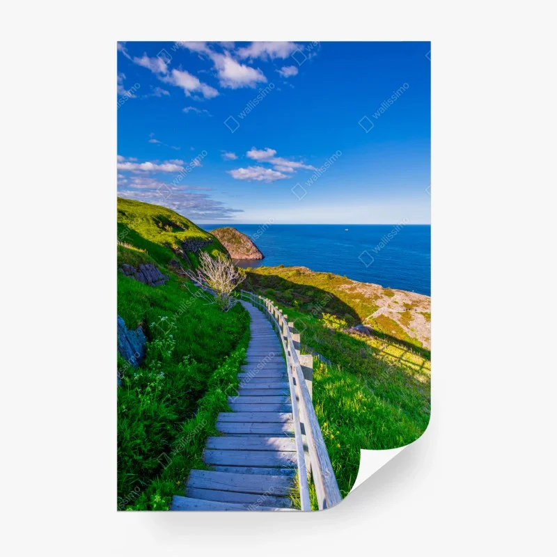 Fototapeta nadmorska ścieżka z widokiem na morze