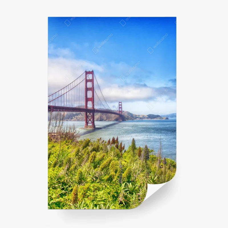 Fototapeta Golden Gate nad zatoką San Francisco