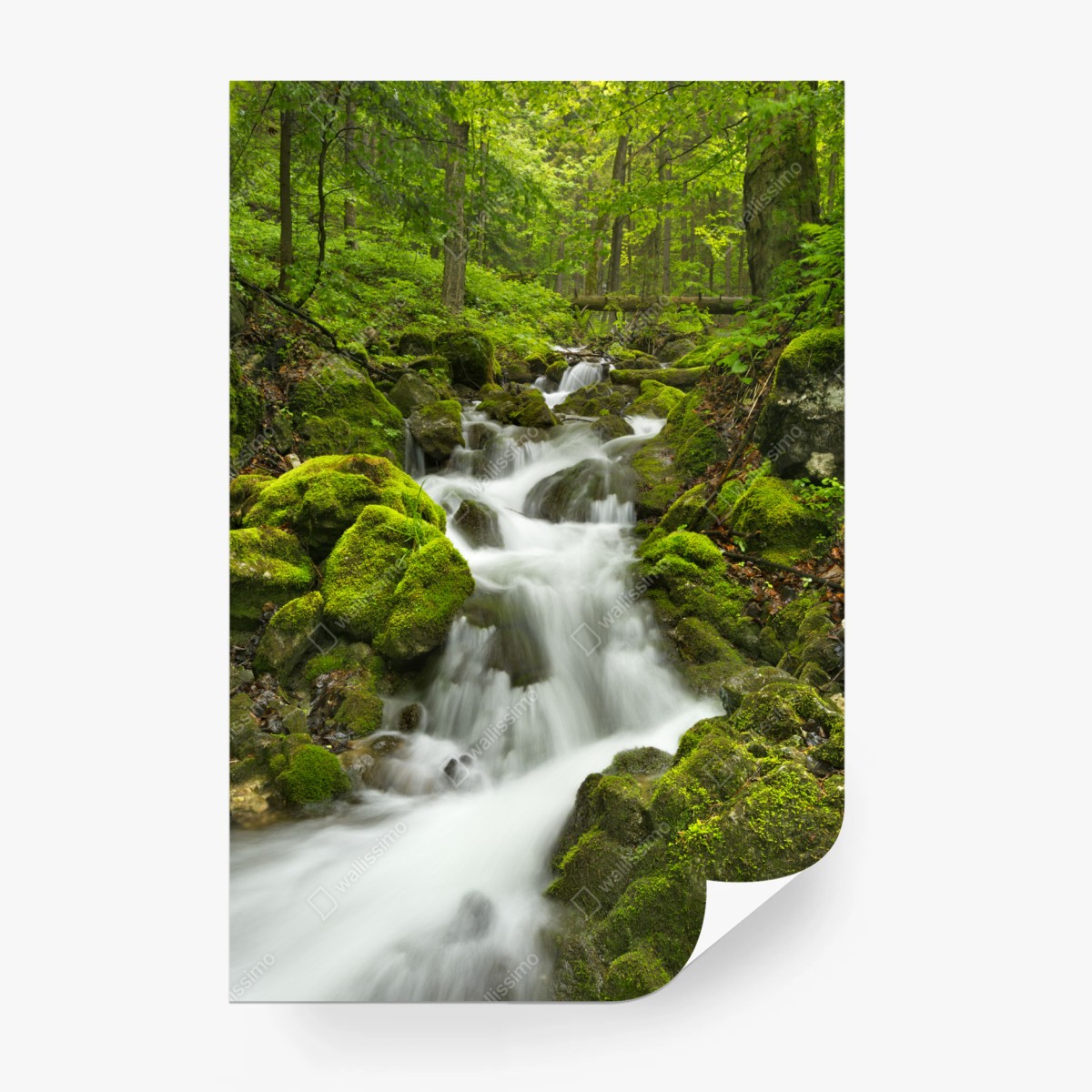 Fototapeta mechowy wodospad – Wallissimo®