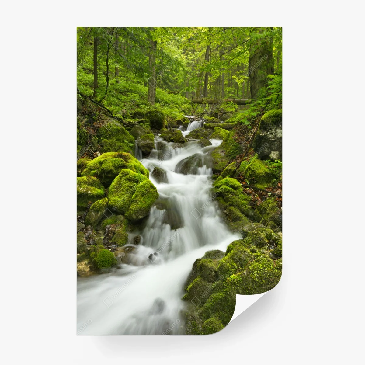 Fototapeta mechowy wodospad – Wallissimo® Fototapeta mechowy wodospad – Wallissimo®