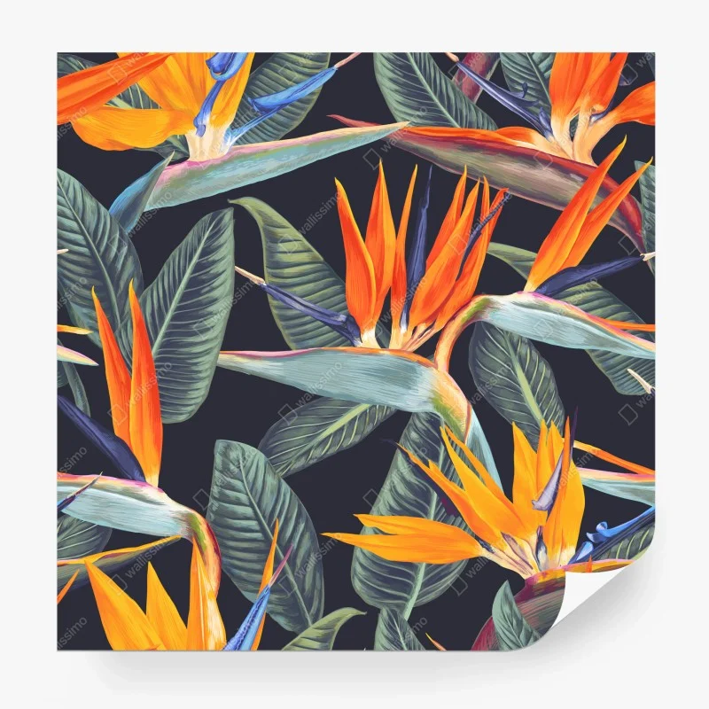 Fototapeta tropikalny wzór ze strelicjami
