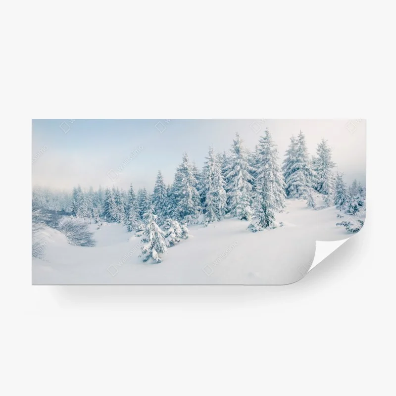 Fototapeta zimowa panorama lasu z zaśnieżonymi jodłami