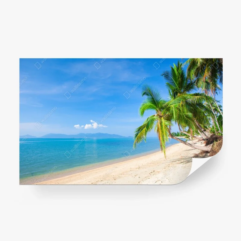 Fototapeta tropikalna plaża z palmami