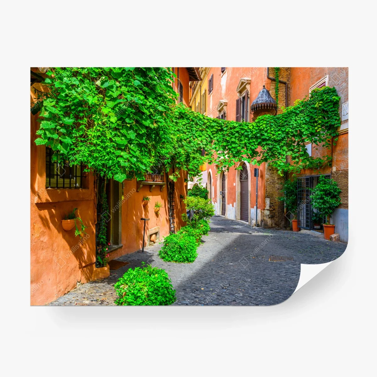 Fototapeta malownicza uliczka w Trastevere, Rzym – Wallissimo®