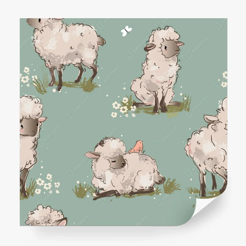 Fototapeta urocze jagnięta na turkusowym tle