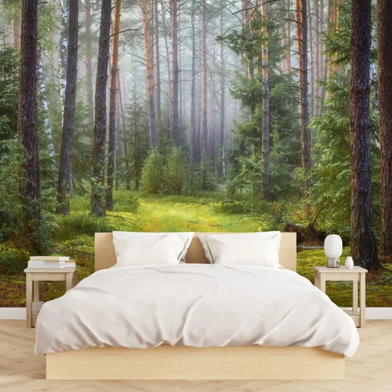 Fototapeta mglisty sosnowy las z ścieżką